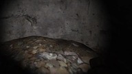 Zagrajmy w S. T. A. L. K. E. R. :The Journey#3-Zabawa na Wysypisku.