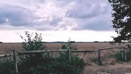 Znajdź skrzata - Find the leprechaun 