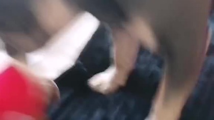 4df8fbe6-a54d-4613-9d32-f349fd5efef2