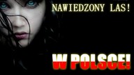 NAWIEDZONY LAS W POLSCE!