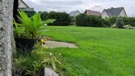 GoPro 13 Slow Motion