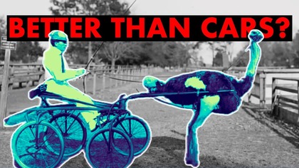 What Can Go Wrong? | Ostrich Carriages