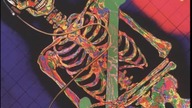 UK Subs - Endangered Species ( Full album )