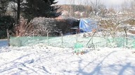 Zaśnieżony ogród