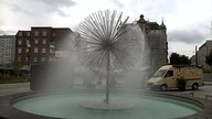 Pomnik mniszka lekarskiego Rynek Łazarski Theatrum Illuminatum