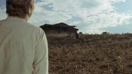 Appaloosa.  (1966)