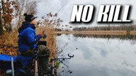 STAW NO KILL - ZMIANA KOSZYKA DAJE EFEKT - JELCZ-LASKOWICE