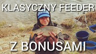 291 KLASYCZNY FEEDER Z BONUSAMI