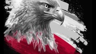 W HOŁDZIE DLA WITKA ...  BARTAS, WILK Z POLSKI .