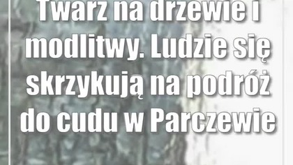 Twarz na drzewie i modlitwy.  Ludzie się skrzykują na podróż do cudu w Parczewie