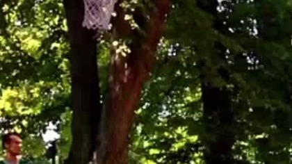 Prost Wsad a prawie po koszu #shorts