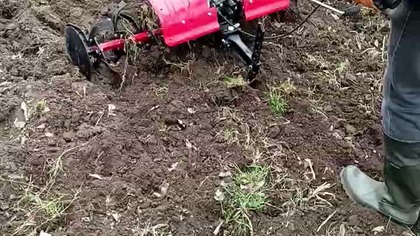 Działka! Oranie i spulchnianie ziemii! Glebogryzarka robi brum brum! Pozdrowienia z działki ROD ;)