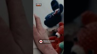 Na przepustce Jola nadal ma nawyki z więzienia