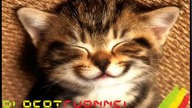 3oda Kru - chillout