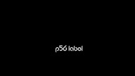 P56 LABEL NIEWIEM CZEMU KARPIU ZBK  DDK P56 INKG WARUNIA MS CWIETA KŁYZA  BIT.CZAHA