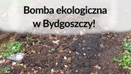 Skandal w Bydgoszczy! Fetor wyczujemy, skażeń chemicznych nikt nie zobaczy