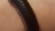 Kenyan Olive Millipede (Telodeinopue aouti) Krocionóg kenijski 