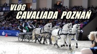 Vlog CAVALIADA POZNAŃ 2019