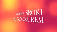 Walka sroki ze szczurem