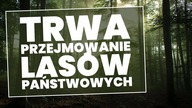 Trwa ciche przejmowanie Lasów Państwowych!