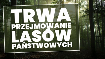 Trwa ciche przejmowanie Lasów Państwowych!