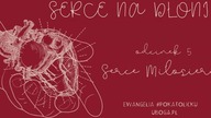 #SerceNaDłoni - Odcinek 5 - Serce Miłosierne