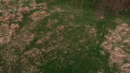 Supernatural - S11E10 Lektor PL