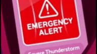 Lu and the Bally Bunch Characters and the EAS Alarm Compilation (Part 1)