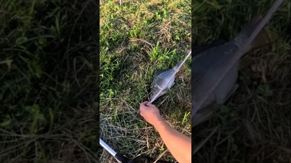 PŁACĘ MŁODEMU ZA KAŻDY CM RYBY  #farming