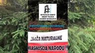 OKOPZN kibicuje zawsze Polsce