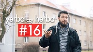 Yerba czy herba: PYTANIA do WAS. Czajnikowy.pl