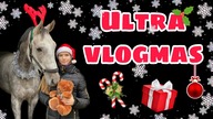 UDEKOROWAŁAM PUNCIE BOKS NA ŚWIĘTA - ULTRA VLOGMAS