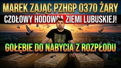 Gołębie od Mistrza - Z wizytą w hodowli u Marek Zając - gołębie do rozpłodu! Nowy FILM Grudzień!