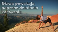 Dlaczego stres może zabić?
