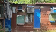Kontrola i po...  Co będzie dalej z hodowlą dzięki życzliwym kapusiom!?