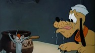 Pluto - Pies pokładowy