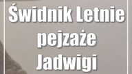 Świdnik: Letnie pejzaże Jadwigi Marcinek