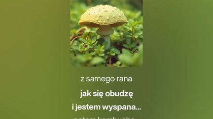 2025.11.17 - 3 - Żyj Zdrowo - soft metal - tekst Ewa Lipka, śpiew i muzyka SI/AL