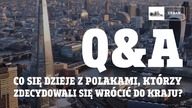 Co się dzieje z Polakami, którzy zdecydowali się wrócić do KRAJU? Q&A