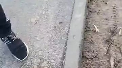 SZYMON 25 (Paweł, Tuczno)