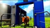 Symulator Farmy 2011 - Sieczka z kukurydzy (20)