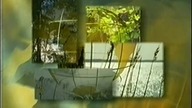 Polsat - Pogoda (31. 03. 2002)