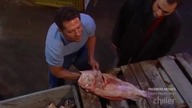 Fear Factor S03E04