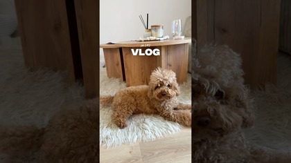 mini vlog