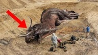 10 NAJBARDZIEJ ZAGADKOWYCH PREHISTORYCZNYCH KREATUR