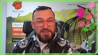 Dzień Kobiet - komplementy od psa