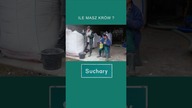ile masz krów?  #śmieszne #suchary #dowcip
