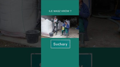 ile masz krów?  #śmieszne #suchary #dowcip