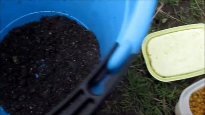 Wiosenne leszcze z gruntu / feeder, method feeder / picker / drgająca szczyt&oacute;wka