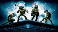 Wojownicze Żółwie Ninja (2007) Dubbing PL